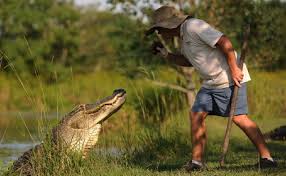 The closest city is wetumpka. Alabama Alligators Facts And Cautious Advice Al Com