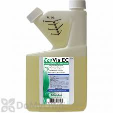 Click here to get free a complete termite treatment means a lot of potentially hazardous chemicals are being pumped into. Ecovia Ec Natural Organic Insecticides Domyown Com