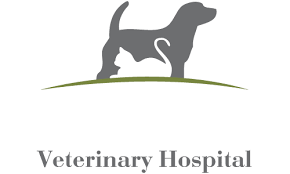 We have individual dog runs for every dog. Lakewood Vets Lake Norman S Neighborhood Veterinary Hospital