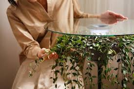 Oasis Table Displays A Hanging Plant Under A Glass Table Top In 2020 Hanging Plants Planter Design Plant Table