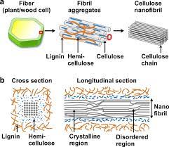 Maybe you would like to learn more about one of these? Cellulose And Its Derivatives Towards Biomedical Applications Springerlink