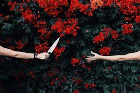 Nedda Afsari Photography Knife Aesthetic Red Aesthetic Photography