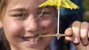 PNJ Photographer Bruce Graner's End-of-Career Photo Review Gallery