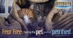 We believe in treating every patient as if they were our own pet, and giving them the same loving attention. The Little Cat Clinic Veterinarian La Mesa California 158 Photos Facebook