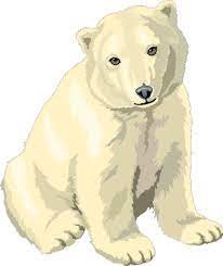 Free Polar Bears Clipart Free Clipart Images Graphics Animated Gifs Animations And Photos Polar Bear Drawing Polar Bear Bear Art