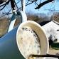 DIY Coffee Mug Suet Feeder event image