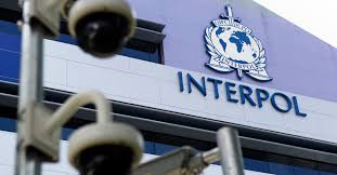 Interpol enables police in our 194 member countries to work together to fight international crime. How Interpol Got Into Bed With Fifa Politico