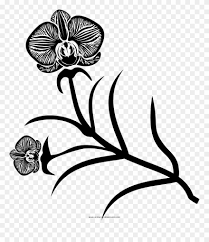 Orchidee Disegni Da Colorare Clipart 3982861 Pinclipart