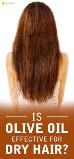 Is Olive Oil An Effective Solution For Dry Hair Cuidados Com O Cabelo Cabelo Look