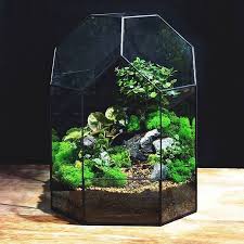 Orchid Terrarium Planter Pattern Pdf Jpg Project 0014 Brilant3d In 2020 Orchid Terrarium Terrarium Geometric Terrarium