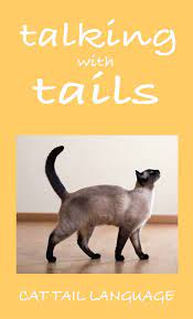 Why Do Cats Wag Their Tails A Guide To Cat Tail Language Cat Tail Language Cat Site Cat Behavior
