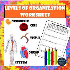 Levels Of Organization Worksheet Cells Tissues Organs Systems Activity Lesson Organ System Activities Biology Units Organ System