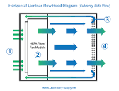 Horizontal vs Vertical Laminar Flow Hoods - Lab Supply Network