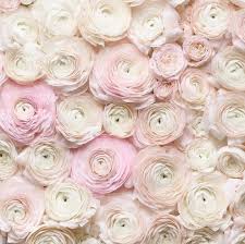 Check spelling or type a new query. Georgiannalane The Photographer Of This Breathtaking Photo Has A New Book Coming Out Called Londo Pink Wedding Flowers Pink Flower Bouquet Bulk Flowers Online