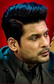 Sidnaaz picture made with ai