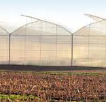 Multi span greenhouse - ESPACE - CMF project - monotunnel ...