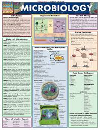 Microbiology Ebook Microbiology Microbiology Study Biomedical Science