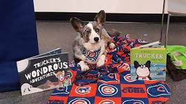 Read to Rover for K - 8: Rakow Branch