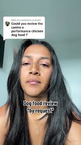 Abady Dog Food Review New York
