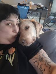 Add to your Christmas decor with this beautifully crafted sign listing the  names of Santa's reindeer. Pick up near Parkland Beach. Can meet in Rimbey,  Bentley, Sylvan, Blackfalds, or Red Deer. |