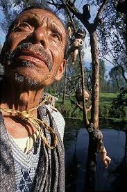 Isla de las Muñecas