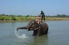 We did not find results for: Schoner Nationalpark Chitwan National Park Sauraha Reisebewertungen Tripadvisor
