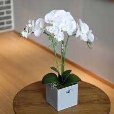 Did you scroll all this way to get facts about cheap fake flowers? White Singapore Real Touch Artificial Orchid Flower Making For Decoration Buy Real Touch Orchid Flower Real Touch Artificial Flower Singapore Orchid Flower Product On Alibaba Com