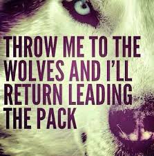 I learn faster when i'm around wolves and sharks.. Leading The Pack Quotes Quotesgram