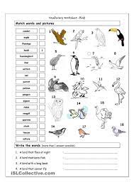 Vocabulary Matching Worksheet Birds Vocabulary Worksheets Animal Worksheets Kindergarten Worksheets