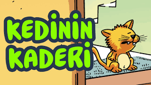 Sesli Karikatur Erdil Yasaroglu Kedinin Kaderi Youtube