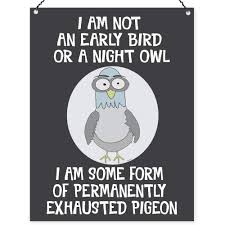 View latest posts and stories by @nightowl.quotes night owl quotes™ in instagram. Dorothy Spring I Am Not An Early Bird Or A Night Owl I Am Some Form Of Permanently Exhausted Pigeon Sarcastic Funny Quote Metal Sign Wall Plaque Decoration15x20cm Buy Online In Aruba