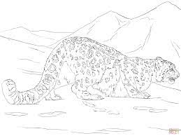 Real news, curated by real humans. Snow Leopard Coloring Pages For Kids Novocom Top