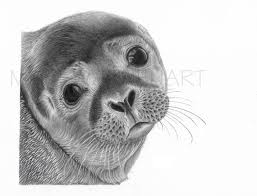 Pin On Drawing Baby Animals