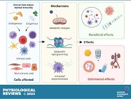 Image result for Immunity