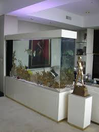 Aquarium Company That Designs Service Supplies Aquariums And Builds Marine And Fish Aquariums In Los Angeles And Oran Aquarium Raumteiler Aquarien Wandaquarium