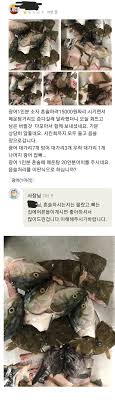 광어 1인분 시키면서 받은 매운탕거리가 논란.jpg - 클리앙