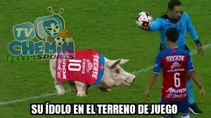 Alineación confirmada del cruz azul para este partido. Los Mejores Memes Que Dejo El Triunfo De Cruz Azul Y La Caida De Chivas En La Copa Gnp