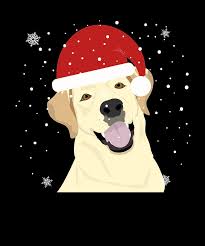 Choose your favorite christmas dog drawings from millions of available designs. Christmas Dog In Santa Hat Labrador Retriever Fun Christmas For Dog Lover Drawing By Kanig Designs