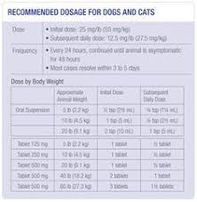Clavamox Dosage Chart For Cats Yahoo Image Search Results
