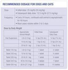 clavamox dosage chart for cats yahoo image search results