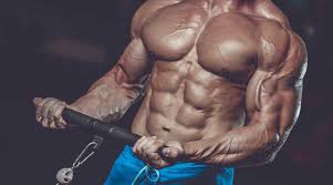 We did not find results for: Sarms Pct Shocking Info They Aren T Telling You 2019 New