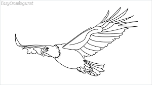 Then draw lines for the runways and taxiways. How To Draw An Eagle Flying Step By Step For Beginners