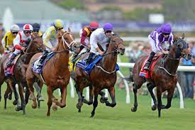 The dirt track is an oval of a mile with chutes for races over 7f and 10f races. Breeders Cup 2017 Results Forever Unbridled Wins Distaff At Del Mar Sbnation Com