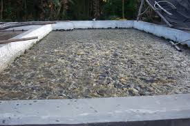 Dhanyafriyan Disisikesibukan Laman 2