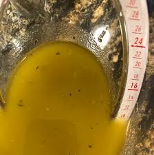 French Salad Dressing Recipe Allrecipes