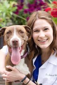 About Our Veterinary Hospital in Maplewood