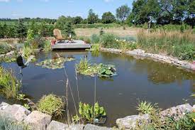 Aerial colonization of the ponds by diving beetles and mosquitoes started immediately after they were. Backyard Pond Brings A Lot To A Landscape The Star