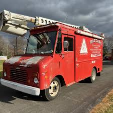 Image result for Yellow 1990 Grumman Olsen