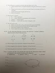 Check spelling or type a new query. 6 If A Cell Has 10 Pairs Of Chromosomes Each With 2 Chegg Com