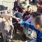 8th Annual Fall Family Fun Day event image